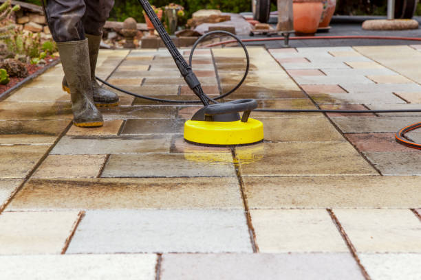 Best Animal Enclosure Cleaning  in Felton, CA