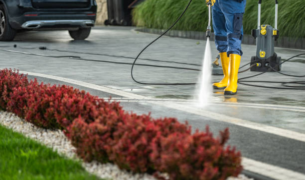 Boat and Dock Cleaning in Felton, CA